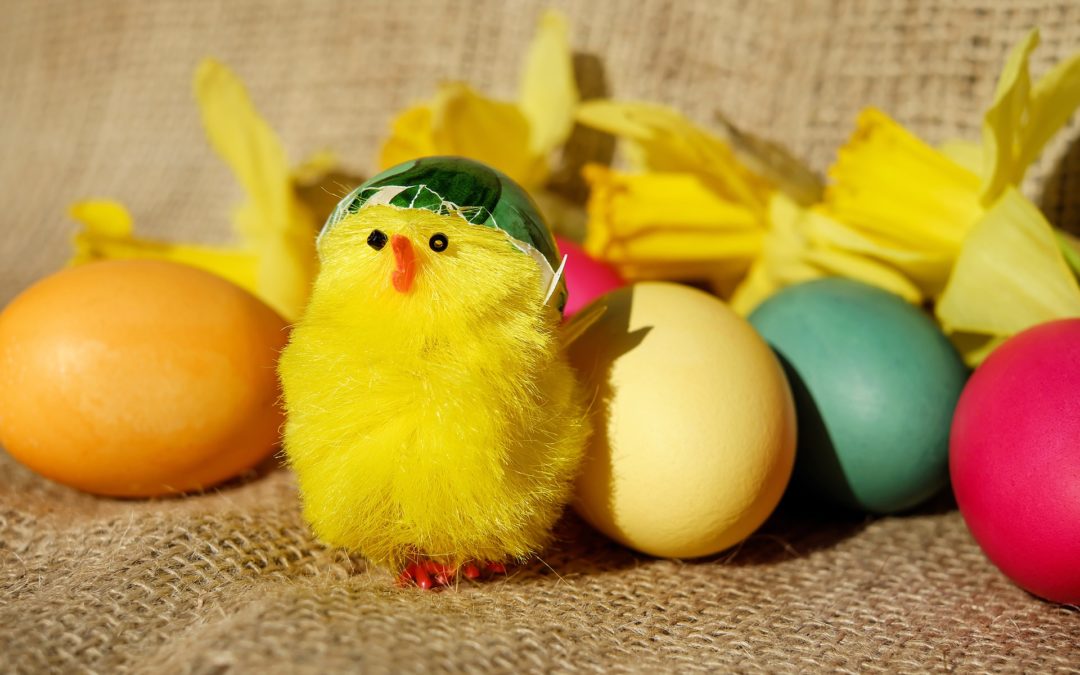 Unique Things to do in Spring in South Lanarkshire